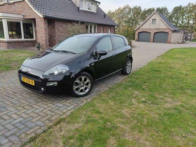 tweedehands Fiat Punto 1.3 MultiJet Sempre