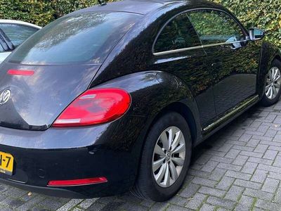 VW Beetle