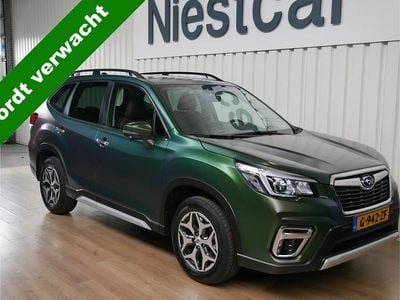 Occasion Subaru Forester Premium 2019 Groen SUV