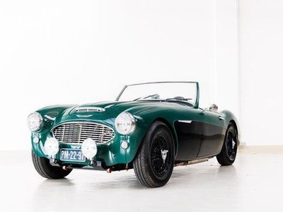 Austin Austin-Healey 100