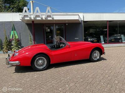 Occasion Jaguar XK 1957 Rood