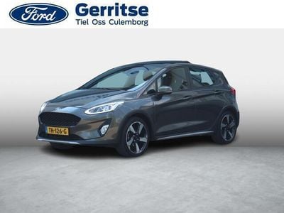 Grijs Gebruikt 2018 Ford Fiesta Active Hatchback | € 15.425 (Iets duurder)