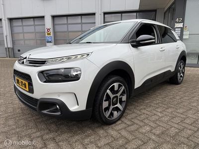 Occasion Citroën C4 Cactus Shine 110 PK (80 kW) 2026 Wit Hatchback