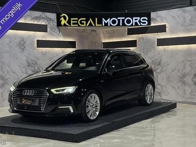 Occasion 2016 Audi e-tron S-Line SUV | € 17.950