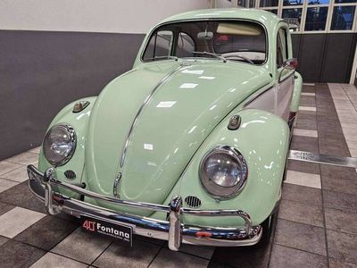 Groen Gebruikt 1964 VW Beetle Sedan | € 18.000