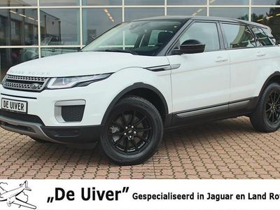 Wit Occasion 2016 Land Rover Range Rover evoque Pure SUV | € 24.645