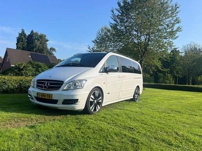 Mercedes Viano