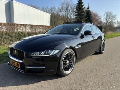 tweedehands Jaguar XE 2.0 D Portfolio / AUTOMAAT / PANORAMADAK / NAVI /