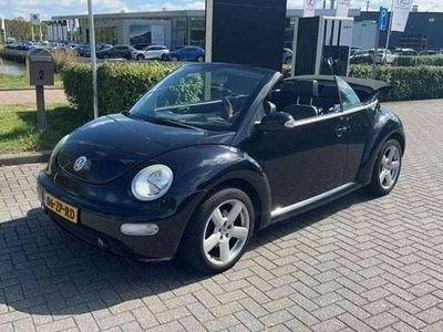 VW Beetle