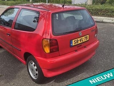 VW Polo