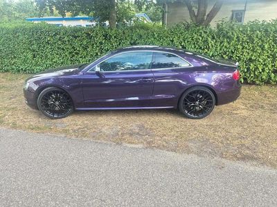 Occasion Audi S5 Cabriolet 354 PK (260 kW) 2009 Paars Coupé