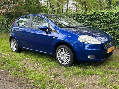 tweedehands Fiat Punto 1.4 Dynamic