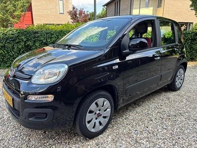 Occasion Fiat Panda 60 PK (44 kW) 2016 Hatchback