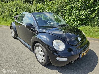 tweedehands VW Beetle (NEW) Cabriolet 1.4 ?Nieuwe Apk, 2004?