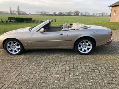 Occasion Jaguar XK8 284 PK (208 kW) 1998 Goud Cabriolet