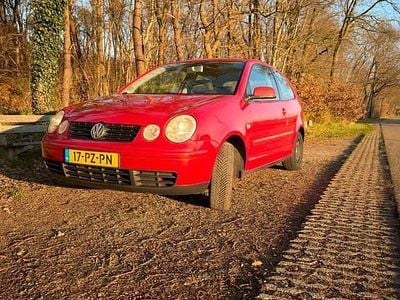 Gebruikt 2005 VW Polo | € 1.300 (Goede deal)