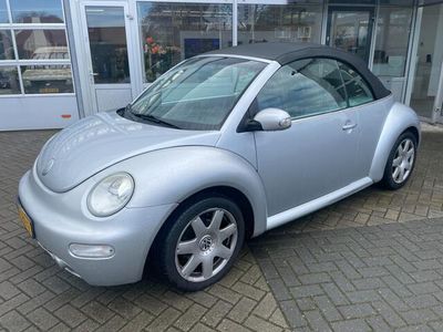 VW Beetle