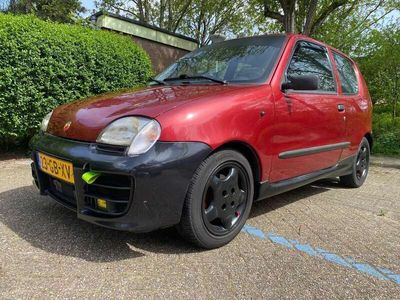 tweedehands Fiat Seicento 1100 ie Young