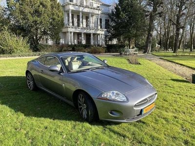 Jaguar XK