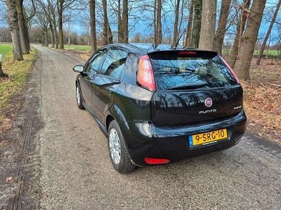 Occasion 2013 Fiat Punto | € 3.200 (Eerlijke prijs)