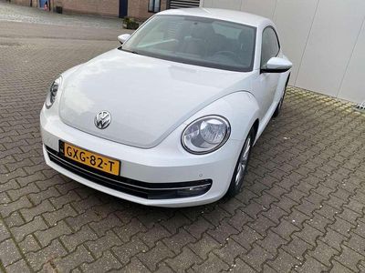 VW Beetle