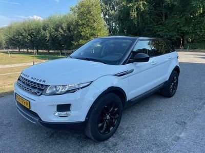 tweedehands Land Rover Range Rover evoque 2.2 TD4 4WD Pure