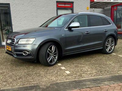 tweedehands Audi SQ5 SQ5 3.0 TDIPro Line 313Pk