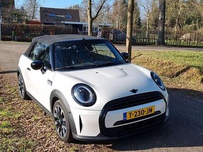 Occasion 2023 Mini Cooper Cabriolet Cabriolet | € 37.000