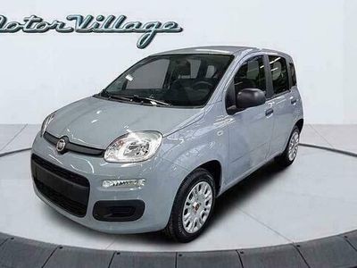 Occasion Fiat Panda Easy 69 PK (50 kW) 2020 Grijs Hatchback