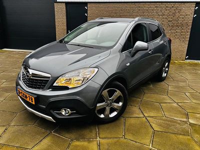 Grijs Gebruikt 2013 Opel Mokka Cosmo SUV | € 11.895 (Iets duurder)