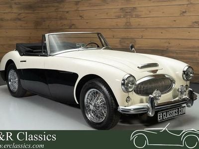 Witwit Gebruikt 1964 Austin Healey 3000 MK III Cabriolet | € 69.950