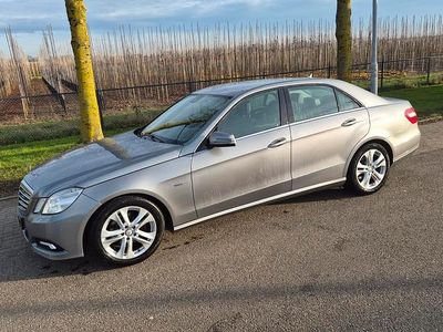 Occasion Mercedes E220 Avantgarde 170 PK (125 kW) 2009