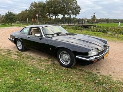 Gebruikt 1992 Jaguar XJS | € 11.000