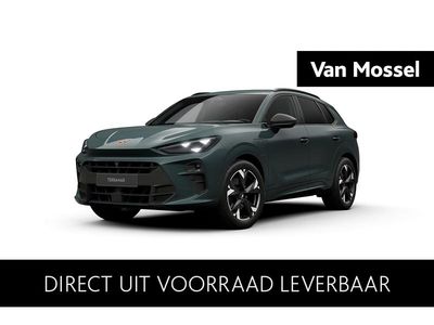 Blauw Nieuw 2025 Cupra Terramar SUV | € 50.632 (Iets duurder)