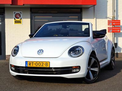 VW Beetle