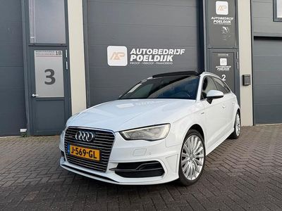 Occasion 2014 Audi e-tron SUV | € 14.500 (Iets duurder)