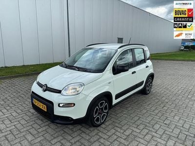 Occasion Fiat Panda City Life 70 PK (51 kW) 2022 Wit Hatchback