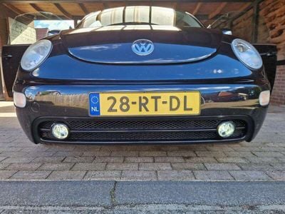 VW Beetle