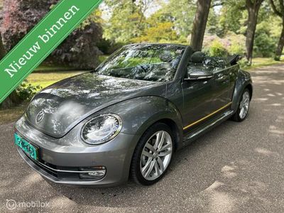 VW Beetle