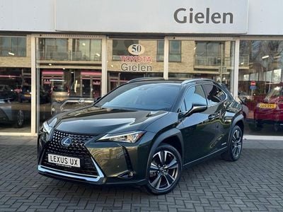 Occasion Lexus UX 250h 184 PK (135 kW) 2022 Groen SUV