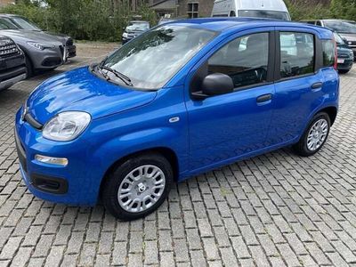 Blauw Nieuw 2025 Fiat Panda Easy Hatchback | € 14.540