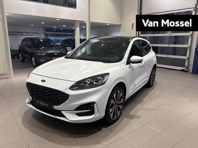 Occasion Ford Kuga ST-Line X 2026 Wit SUV