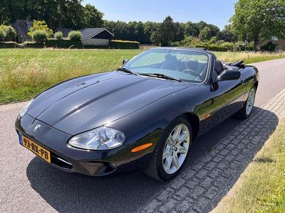 Jaguar XK8