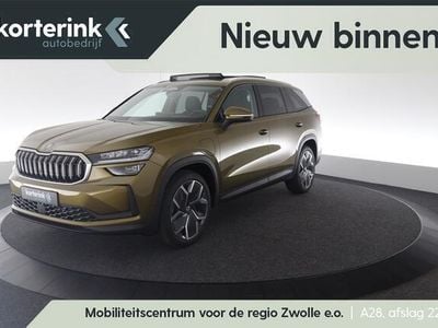 Bruin Occasion 2024 Skoda Kodiaq Business Line SUV | € 59.900