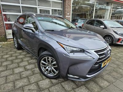 tweedehands Lexus NX300h AWD Luxury Line Leder/Afneembare trekhaak