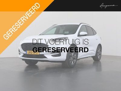 Occasion Ford Kuga ST-Line X 2026 Wit SUV