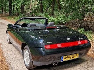 Alfa Romeo Spider