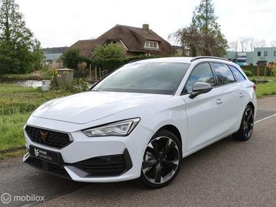 tweedehands Cupra Leon sportstourer 1.5 eTSI Navi / Stoelv / Camera