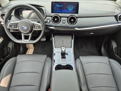 Occasion Seres 3 119 kW (163 PK) 2025 Zwart SUV