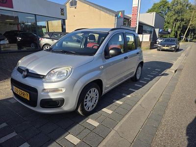 Grijs Gebruikt 2013 Fiat Panda Easy Hatchback | € 4.450 (Iets duurder)